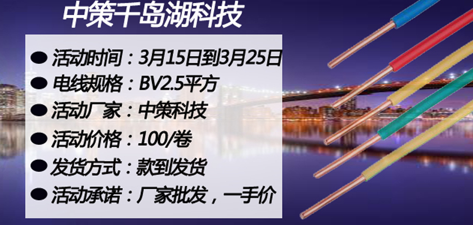 中策科技BV電線